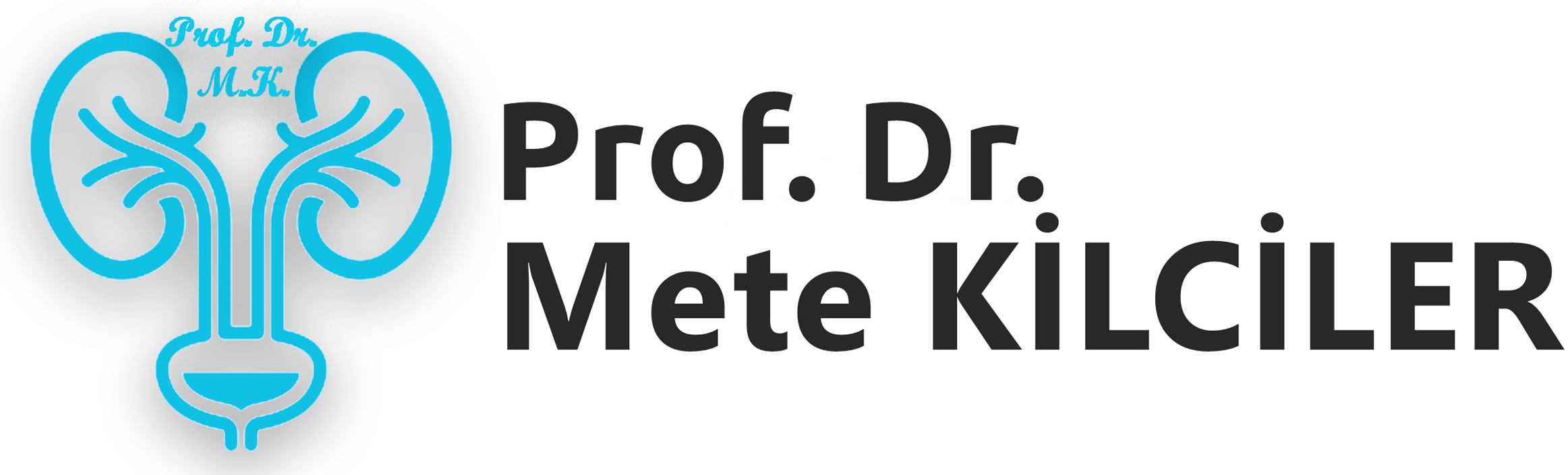 Prof. Dr. Mete Kilciler